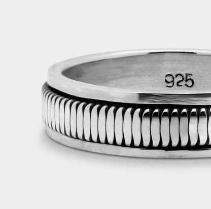 The Guardian - Spin Ring